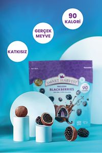 Dondurulmuş Sütlü Ve Beyaz Çikolata Kaplanmış Böğürtlen 227gr ürün fotoğrafı