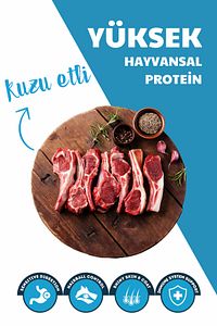 Kuzu Etli Yavru Köpek Maması 15 Kg ürün fotoğrafı