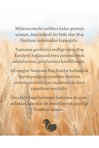 Maş Fasulyesi 1 Kg ürün fotoğrafı