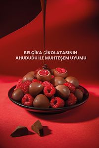 Dondurulmuş Sütlü Ve Beyaz Çikolata Kaplanmış Ahududu 227gr ürün fotoğrafı