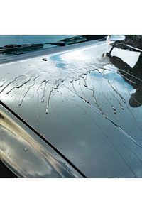 Boya Koruma Carnauba Cila 500 ml + Uygulama Bezi  Süngeri 10211176 ürün fotoğrafı