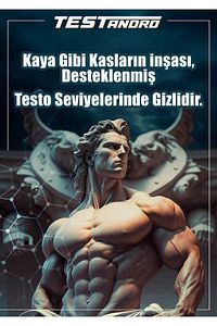 Testandro, Testo Booster, Tribulus, Panax Ginseng,mumiyo, Horny Goat Weed 90 Kapsül ürün fotoğrafı
