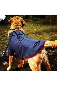 Büyük Irk Navy Köpek Yağmurluğu -köpek Kiyafeti ürün fotoğrafı
