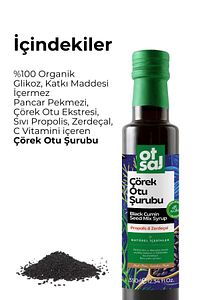 Çörek Otu Şurubu, Çörek Otu Ekstresi Ve Propolis Içeren Besleyici Karışım 350g ürün fotoğrafı