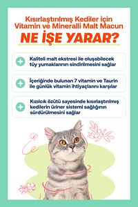 Kediler İçin Tüy Dökülmesini Azaltıcı Multivitamin Malt Macunu 100g ürün fotoğrafı