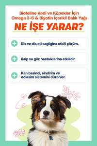 Kedi ve Köpekler İçin Omega 3 ve 6 İçerikli Balık Yağı – Tüy ve Genel Sağlık Destekleyici ürün fotoğrafı