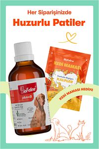 Köpekler İçin Biotin ve Çinko İçeren Tüy Dökülmesini Azaltıcı Plus B Damla 50ml ürün fotoğrafı