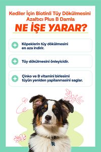 Köpekler İçin Biotin ve Çinko İçeren Tüy Dökülmesini Azaltıcı Plus B Damla 50ml ürün fotoğrafı