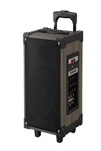 Lt-908 Süper Bass Şarjlı Mikrofonlu Hoparlör Karaoke Sistemi 40 Watt Taşınabilir Parti Box ürün fotoğrafı