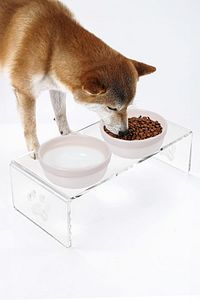 2'li Seramik Dekoratif Kedi Ve Köpek Pleksi Mama & Su Kabı Paspas ürün fotoğrafı