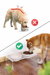 2'li Seramik Dekoratif Kedi Ve Köpek Pleksi Mama & Su Kabı Paspas ürün fotoğrafı