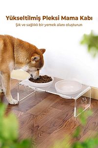 2'li Seramik Dekoratif Kedi Ve Köpek Pleksi Mama & Su Kabı Paspas ürün fotoğrafı