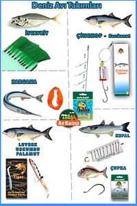 Surf Karbon Olta Takımı 4.2 Metre Shore Catcher ürün fotoğrafı