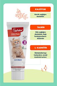 Yavru ve Anne Kediler İçin Bağışıklık Destekleyici Multivitamin Macun – 100g ürün fotoğrafı