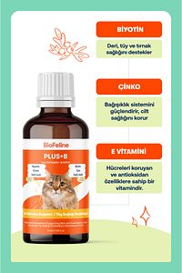 Kediler İçin Biotinli Tüy Dökülmesini Azaltıcı Plus B Damla 50ml ürün fotoğrafı