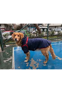 Büyük Irk Navy Köpek Yağmurluğu -köpek Kiyafeti ürün fotoğrafı