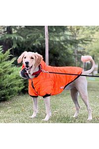 Dogi Dog Büyük Irk Neon Oranj Puf Mont ,büyük Irk Köpek Kiyafeti,köpek Elbisesi ürün fotoğrafı