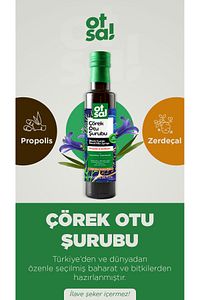 Çörek Otu Şurubu, Çörek Otu Ekstresi Ve Propolis Içeren Besleyici Karışım 350g ürün fotoğrafı