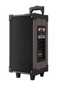 Lt-908 Süper Bass Şarjlı Mikrofonlu Hoparlör Karaoke Sistemi 40 Watt Taşınabilir Parti Box ürün fotoğrafı