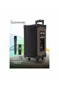 Lt-908 Süper Bass Şarjlı Mikrofonlu Hoparlör Karaoke Sistemi 40 Watt Taşınabilir Parti Box ürün fotoğrafı