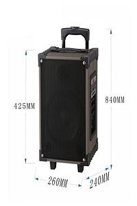 Lt-908 Süper Bass Şarjlı Mikrofonlu Hoparlör Karaoke Sistemi 40 Watt Taşınabilir Parti Box ürün fotoğrafı