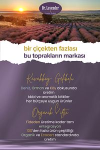 Dr. Lavender Lavanta Yağlı Köpek Şampuanı 400 ml Antiseptik Pet Şampuan ürün fotoğrafı