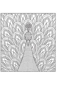 Rengarenk Terapi Mandala ürün fotoğrafı