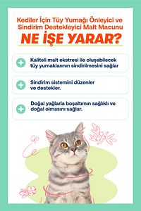 Kediler İçin Tüy Yumağı Önleyici ve Sindirim Destekleyici Malt Macunu 100g ürün fotoğrafı