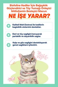 Kediler Için Bağışıklık Destekleyici Ve Tüy Yumağı Önleyici Multivitamin Macun 100g ürün fotoğrafı