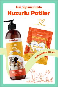 Kedi ve Köpekler İçin Omega 3 ve 6 İçerikli Balık Yağı – Tüy ve Genel Sağlık Destekleyici ürün fotoğrafı