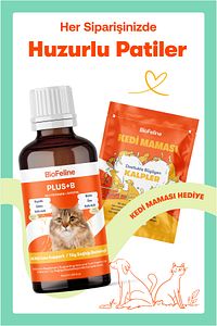Kediler İçin Biotinli Tüy Dökülmesini Azaltıcı Plus B Damla 50ml ürün fotoğrafı