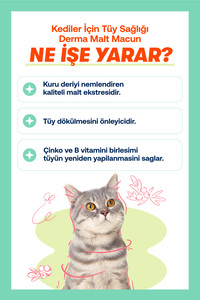 Kediler İçin Derma Kedi Malt Macunu – 100g ürün fotoğrafı