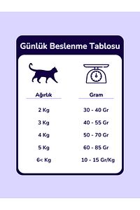 Intestinal Veteriner Gastrointestinal Kedi Maması 3 Kg ürün fotoğrafı