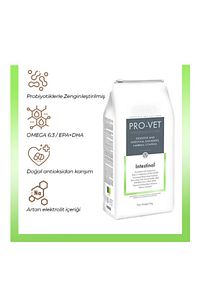 Intestinal Veteriner Gastrointestinal Kedi Maması 3 Kg ürün fotoğrafı