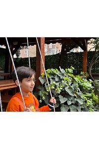 Çocuk Salıncağı (Demonte) Kırmızı ürün fotoğrafı