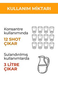Ginger Shot, Portakal, Limon, Bal Ve C Vitamini Içeren Doğal Karışım Zencefil Shot 350g ürün fotoğrafı