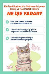 Kedi ve Köpekler İçin Glukozamin İçeren Eklem ve Kas Destek Tableti – 75 Tablet ürün fotoğrafı