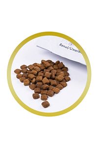 Renal Böbrek Destekleyici Köpek Maması 2,5 Kg ürün fotoğrafı