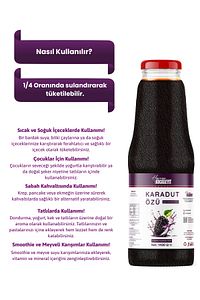 3 Adet Karadut Özü 1400 gr Yaban Mersin Özü 350 gr ürün fotoğrafı