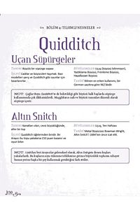 Unofficial Harry Potter Büyü Kitabı (Ciltli) Martı Yayınları Kolektif Kitabı 160 Sayfa Martı Yayın ürün fotoğrafı