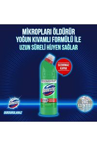 Çamaşır Suyu Dağ Esintisi 750 ml Bulaşık Set ürün fotoğrafı