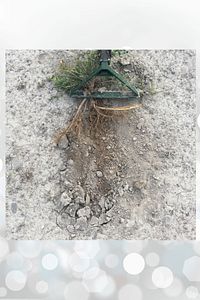 Üç'lü Full Paket El Çapa Makinası Çapalama Ot Yolma Ot Kesme Karık Açma Kanal Açma Bahçe Seti ürün fotoğrafı