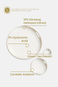 Ginseng Serum 30ml - Cilt Yenileyici, Sıkılaştırıcı, Bariyer Güçlendirici Vegan (%10 GİNSENG ÖZÜ) ürün fotoğrafı