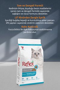 Somonlu Kısırlaştırılmış Kedi Maması 2 Kg ürün fotoğrafı