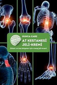 At Kestanesi Jeli, Kas Ve Eklem Masaj Kremi 500 ml ( 2 Adet X 500 ml ) ürün fotoğrafı