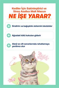 Kedi ve Köpekler İçin Sıvı Probiyotik – 100 ml ürün fotoğrafı