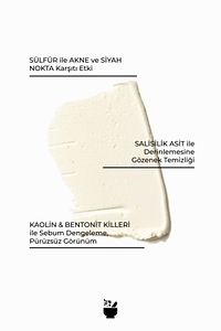 Skinologist Salicylic Sulfur Mask/siyah Nokta Karşıtı Kil Maskesi 75 ml ürün fotoğrafı