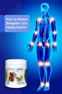 At Kestanesi Jeli, Kas Ve Eklem Masaj Kremi 500 ml ( 2 Adet X 500 ml ) ürün fotoğrafı