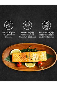 Mutamin North Atlantic Health Somonlu Köpek Maması 15 Kg Medıum/large ürün fotoğrafı
