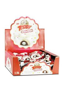 Today Snowball Mini Hindistan Cevizli Kek 25 Gr. 24 Adet (1 Kutu) ürün fotoğrafı